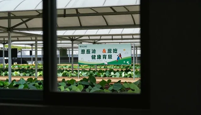门诊服务中健康宣教的检查要点分析